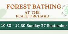 FOREST BATHING AT THE PEACE ORCHARD