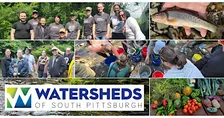 Stream & Litter Clean-Up