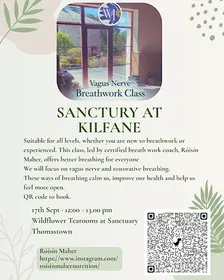 Vagus Nerve Breathwork Class- Kilfane, Thomastown