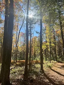 Nature On the Move