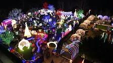 Sayville Falls Holiday Light Show