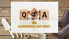 The Gardening Hot Seat: Bring Your Questions to our Panel