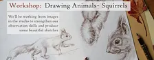 Workshop: Drawing Animals- Squirrels, for Beginners +, Eindhoven