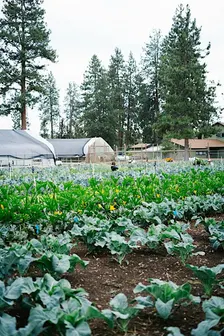 Fall Farm Tour
