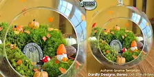 Autumn Gnome Moss Terrarium | Danilly Designs