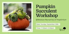 Pumpkin Succulent Trio - Workshop