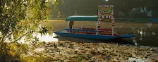 Free Walk&Talk - Xochimilco