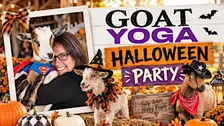 Halloween Goat Yoga