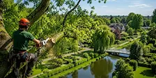 Boomverzorging Bodegraven
