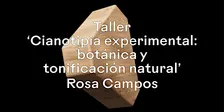 Cianotipia experimental: botánica y tonificación natural
