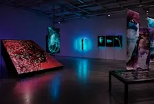 VIP Opening and Drinks Reception: Symbolic Vault, Istanbul