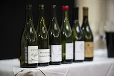 Versatile Vitovska: espressioni del bianco del Carso