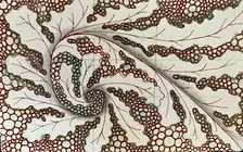 Fall Into Zentangle®: A Day Long Retreat