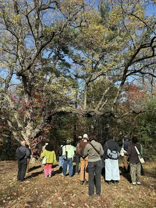 Birding for Preservation