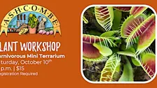 Carnivorous Mini Terrarium