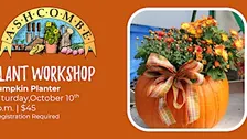 Pumpkin Planter