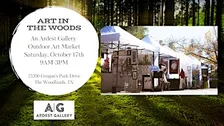 Art in The Woods - Outdoor Art Market