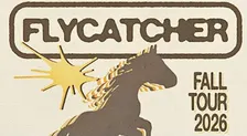 Flycatcher & special guests