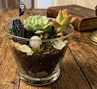 Mortuarium - Build Your Own Deadly Terrarium Workshop