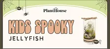 Kids Spooky Jellyfish Terrarium Workshop