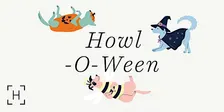 Howl-O-Ween Yappy Hour at Hilldale