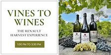 Vines to Wines: The Renault Harvest Experience