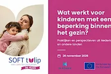 Netwerk-event: wat werkt voor kinderen met een beperking binnen het gezin?