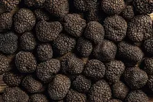 Truffle Festival