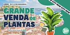 Grande Venda de Plantas - Lisboa