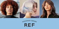 REF SIGNATURE CUTTING / EXPLORE COLOR - Ogden