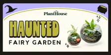 Haunted Fairy Garden Terrarium Workshop