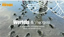 Inschrijven workshops NWSGRG Festival 1 oktober 2026