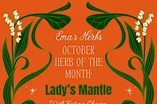October Herb of the Month: Lady's Mantle with Fatima Chavez