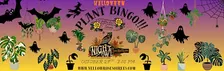 Halloween Plant Bingo at Night Owl-Leander!