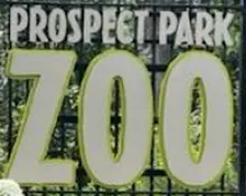 Family Adventure: Prospect Park Zoo Brooklyn Quest
