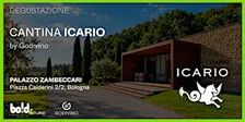 Degustazione cantina Icario by Godivino
