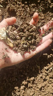 FRACTAL 2026 - Oficina Sandra Carvalho