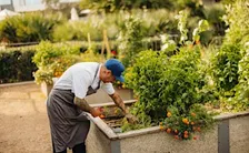Garden-To-Table: Growing for the Chef