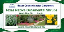Texas Native Ornamental Shrubs for Your Landscape