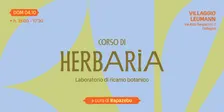 Herbaria, laboratorio di ricamo botanico con Marta Ricchiardi