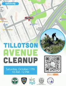 Tillotson Avenue Cleanup