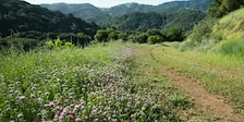 Hike at Rancho Cañada del Oro