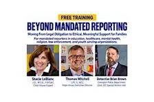 Beyond Mandated Reporting