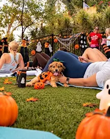 JETSET PILATES WEST BOCA: PUPPIES & PILATES SPOOKY EDITION