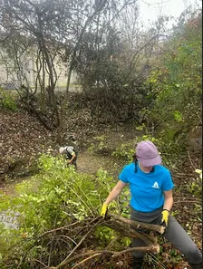 Invasive Plant Removal Workshop