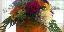 Pumpkin Centerpiece Sip & Floral Design