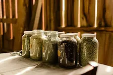 Honey + Sound Wellness Retreat