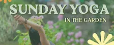 Yoga in the garden