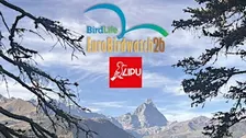 Eurobirdwatch 2026