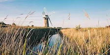Broads Authority Volunteer Action Day - How Hill, Reedham Marshes
